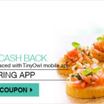 TinyOwl 100% Cashback on Online Food Order