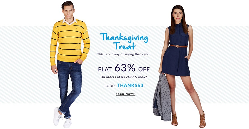 American Swan Thanksgiving Sale