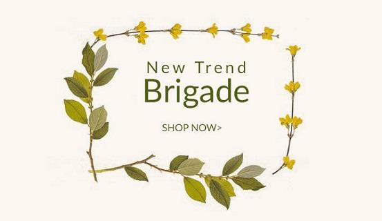 American Swan New Trend Brigade Latest Fashion for Men and Women